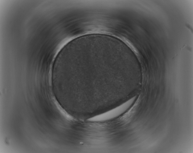 X0000097471246200803071646