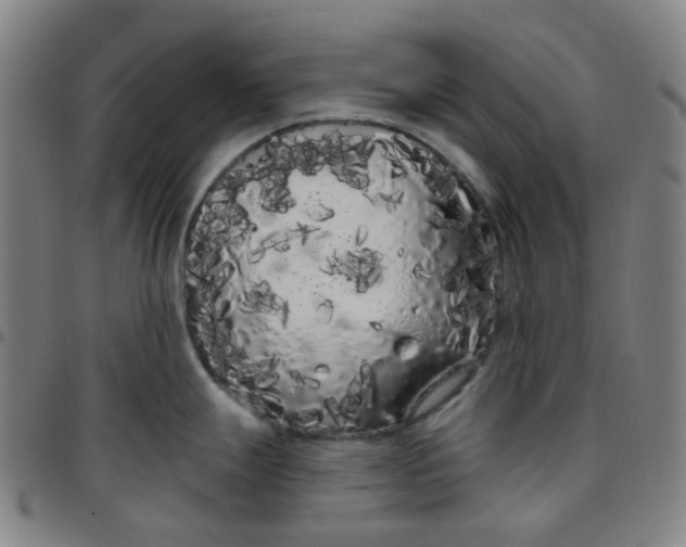 X0000097471247200803071646