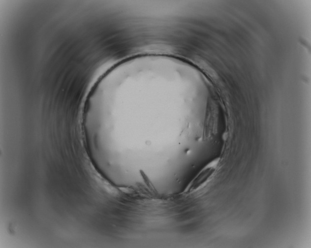 X0000097471248200803071646