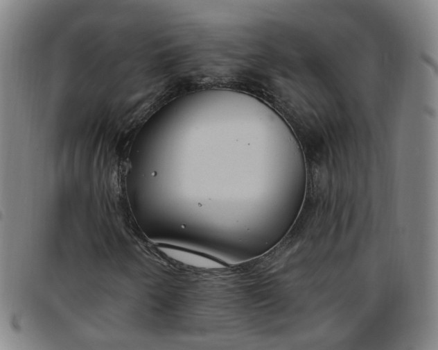 X0000097471250200803071646
