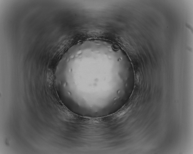 X0000097471251200803071646