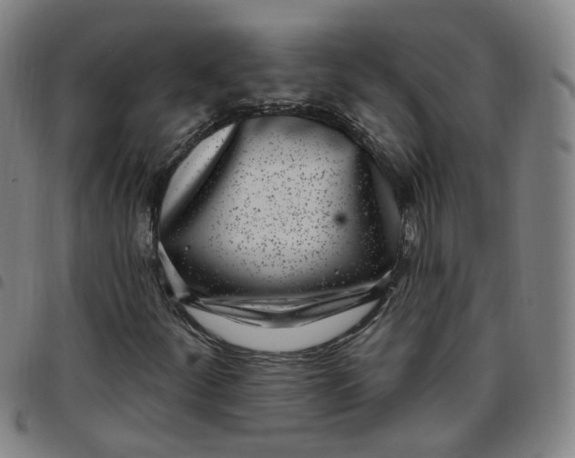 X0000097471252200803071646