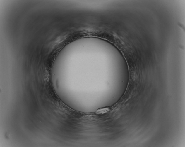 X0000097471253200803071646