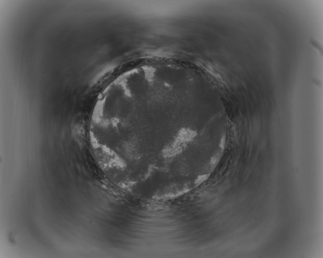 X0000097471254200803071646