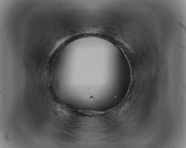 X0000097471256200803071646