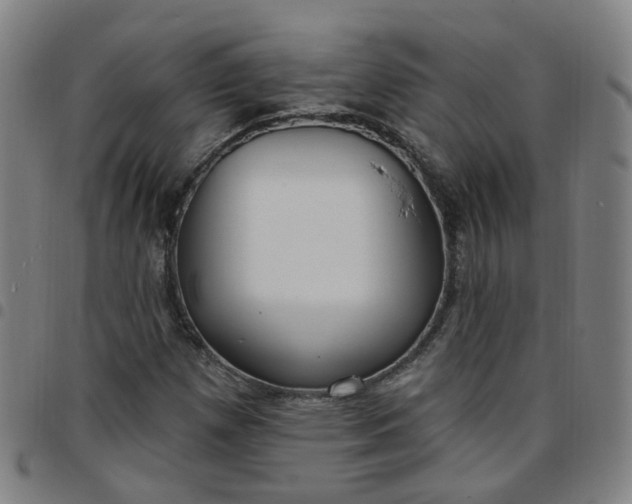 X0000097471257200803071646