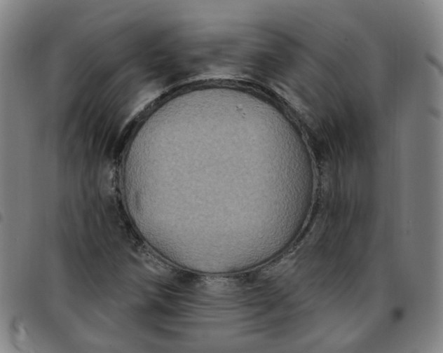 X0000097471258200803071646