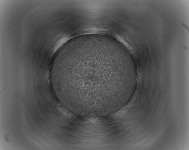 X0000097471259200803071646