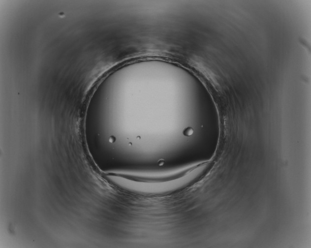 X0000097471260200803071646