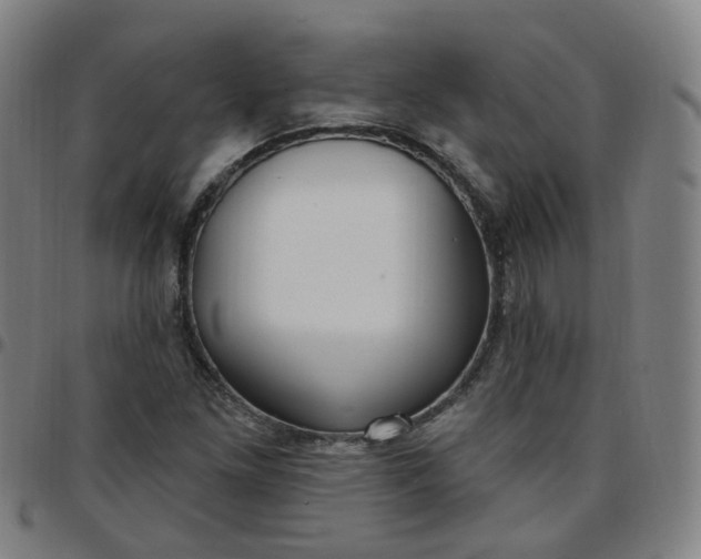 X0000097471261200803071646