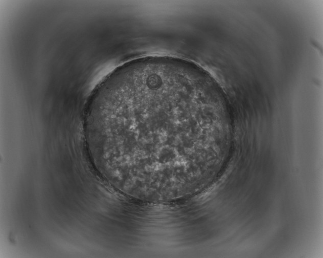 X0000097471263200803071646
