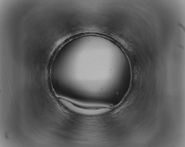 X0000097471264200803071646