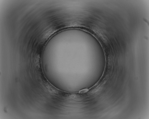 X0000097471265200803071646