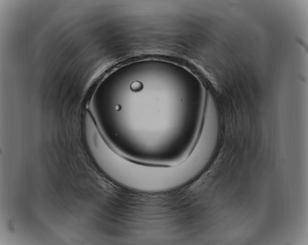 X0000097471266200803071646