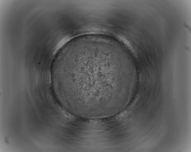 X0000097471267200803071646