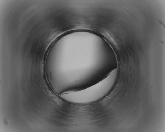X0000097471268200803071646