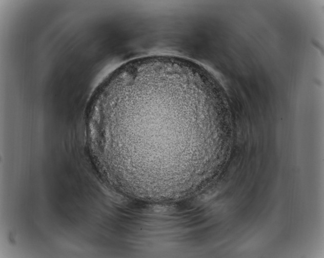 X0000097471271200803071645