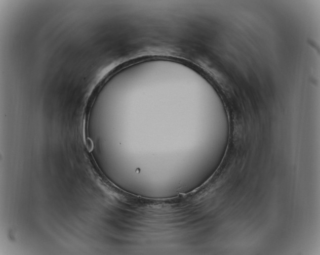 X0000097471272200803071645