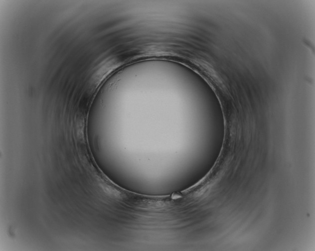 X0000097471273200803071645