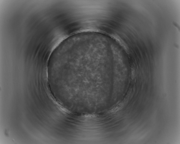 X0000097471274200803071645