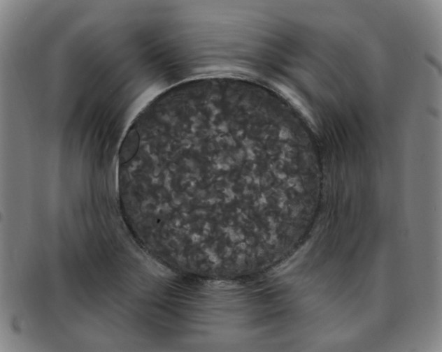 X0000097471275200803071645