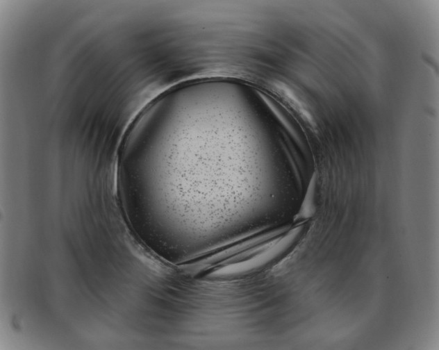 X0000097471276200803071645
