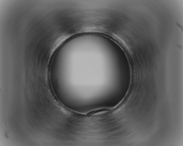X0000097471277200803071645