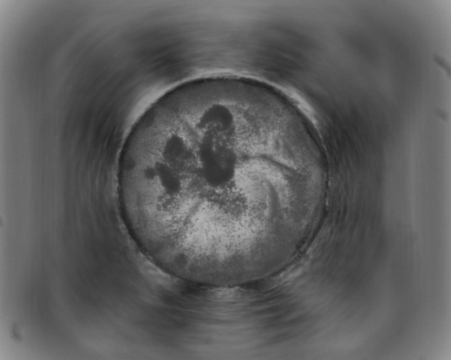 X0000097471279200803071645