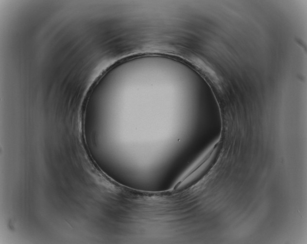X0000097471280200803071645