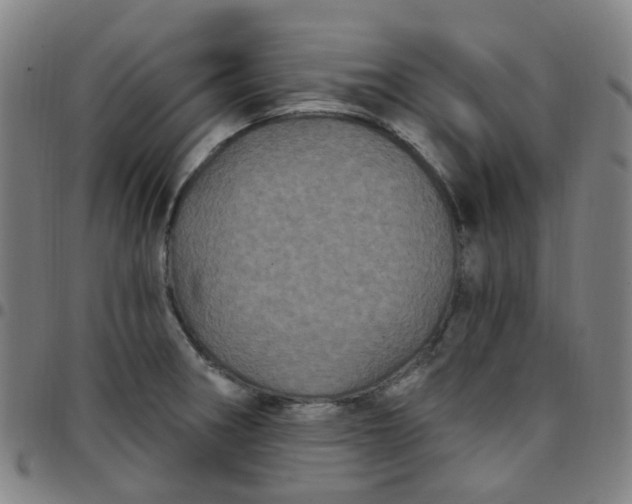 X0000097471282200803071645
