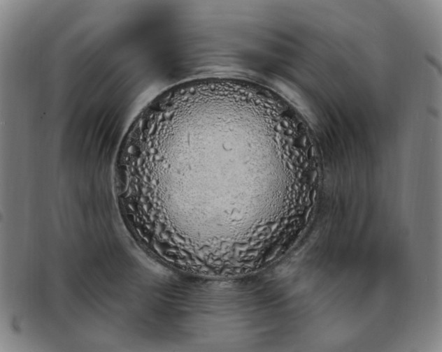 X0000097471283200803071645