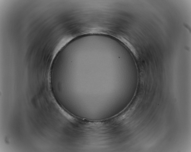 X0000097471285200803071645