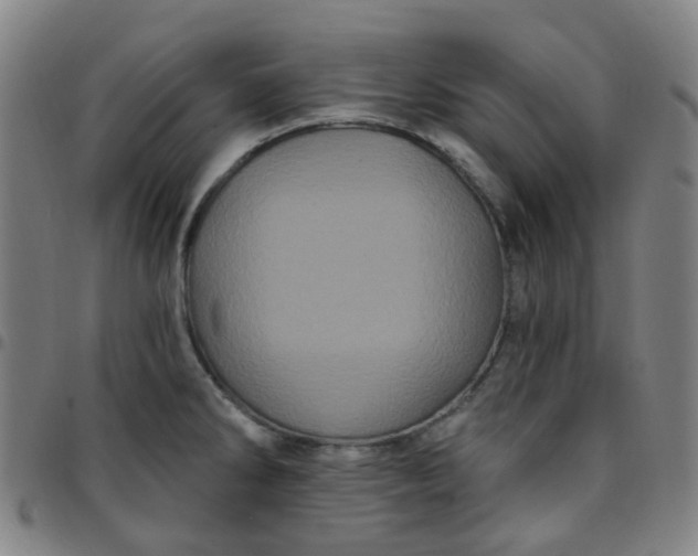 X0000097471286200803071645