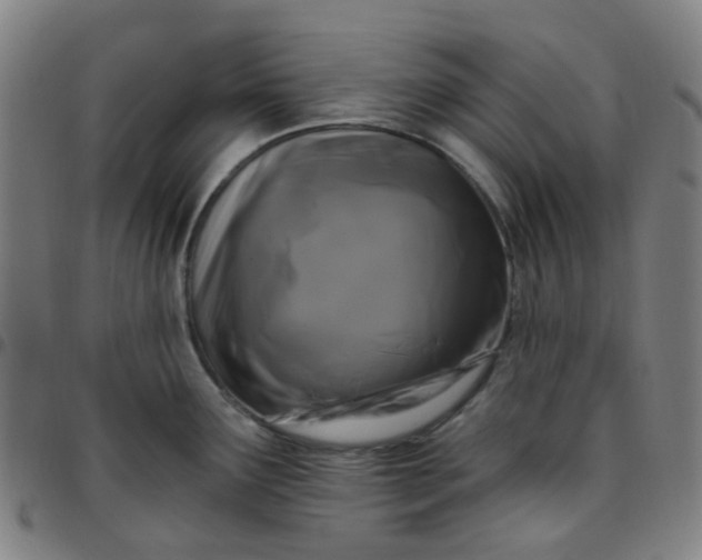 X0000097471291200803071645