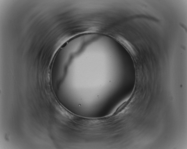 X0000097471292200803071645