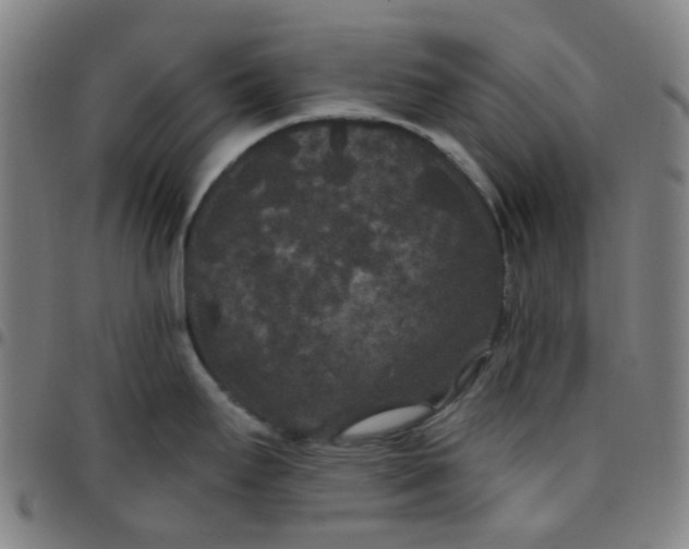 X0000097471295200803071645