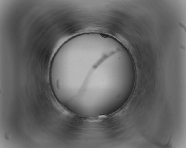 X0000097471296200803071645