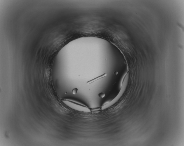 X0000097471300200803071644