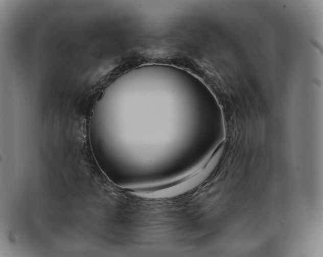 X0000097471301200803071644