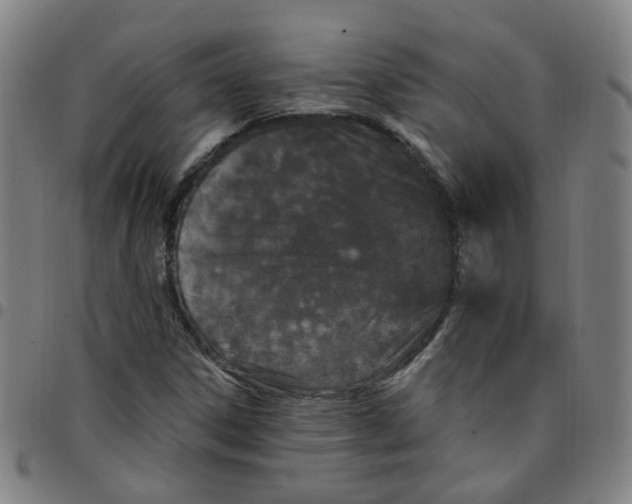 X0000097471306200803071645