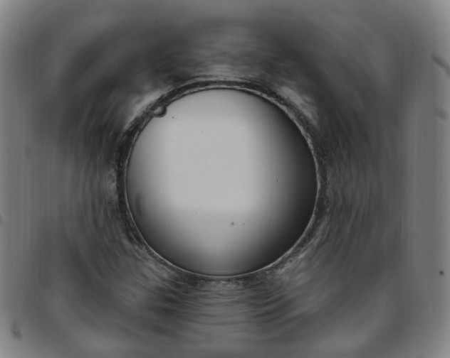 X0000097471307200803071645