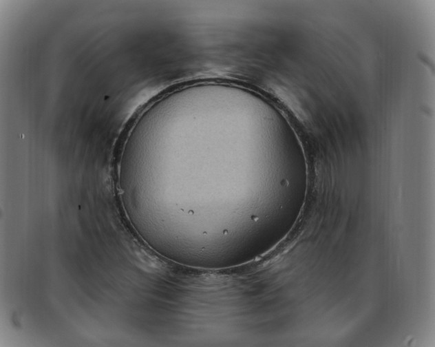 X0000097471308200803071645