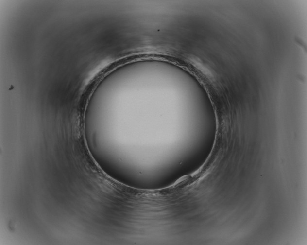 X0000097471310200803071645