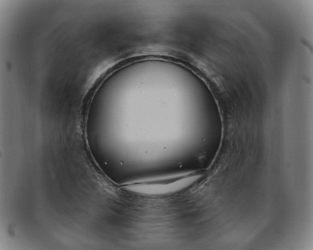 X0000097471312200803071645
