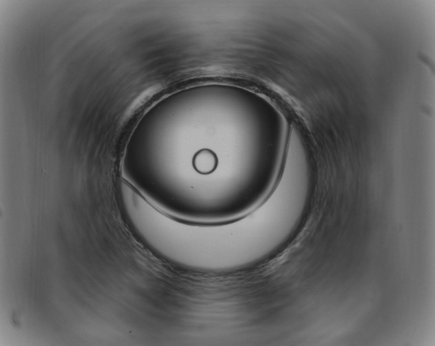 X0000097471314200803071645