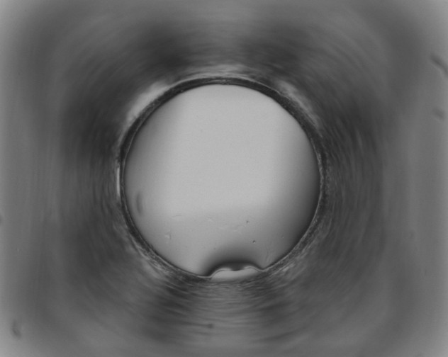 X0000097471320200803071645