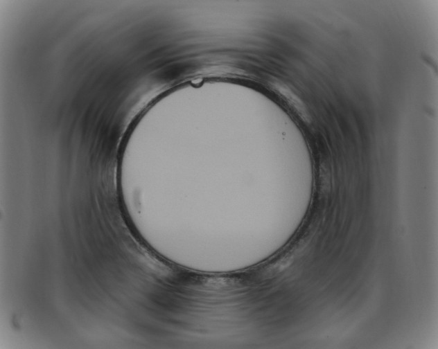 X0000097471322200803071645