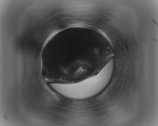 X0000097471323200803071645