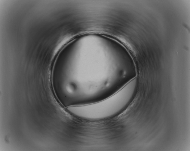 X0000097471325200803071645