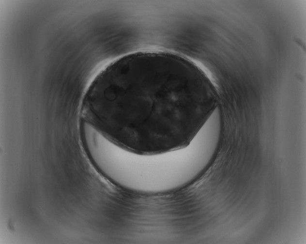 X0000097471327200803071645